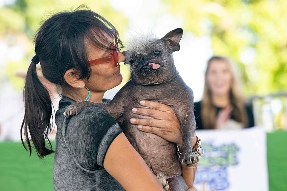 Su dueña, Jenada Benally, convenció al jurado de que su perro de 17 años merecía el primer puesto y ganó USD $1500 en la competencia. (AFP/Getty images)