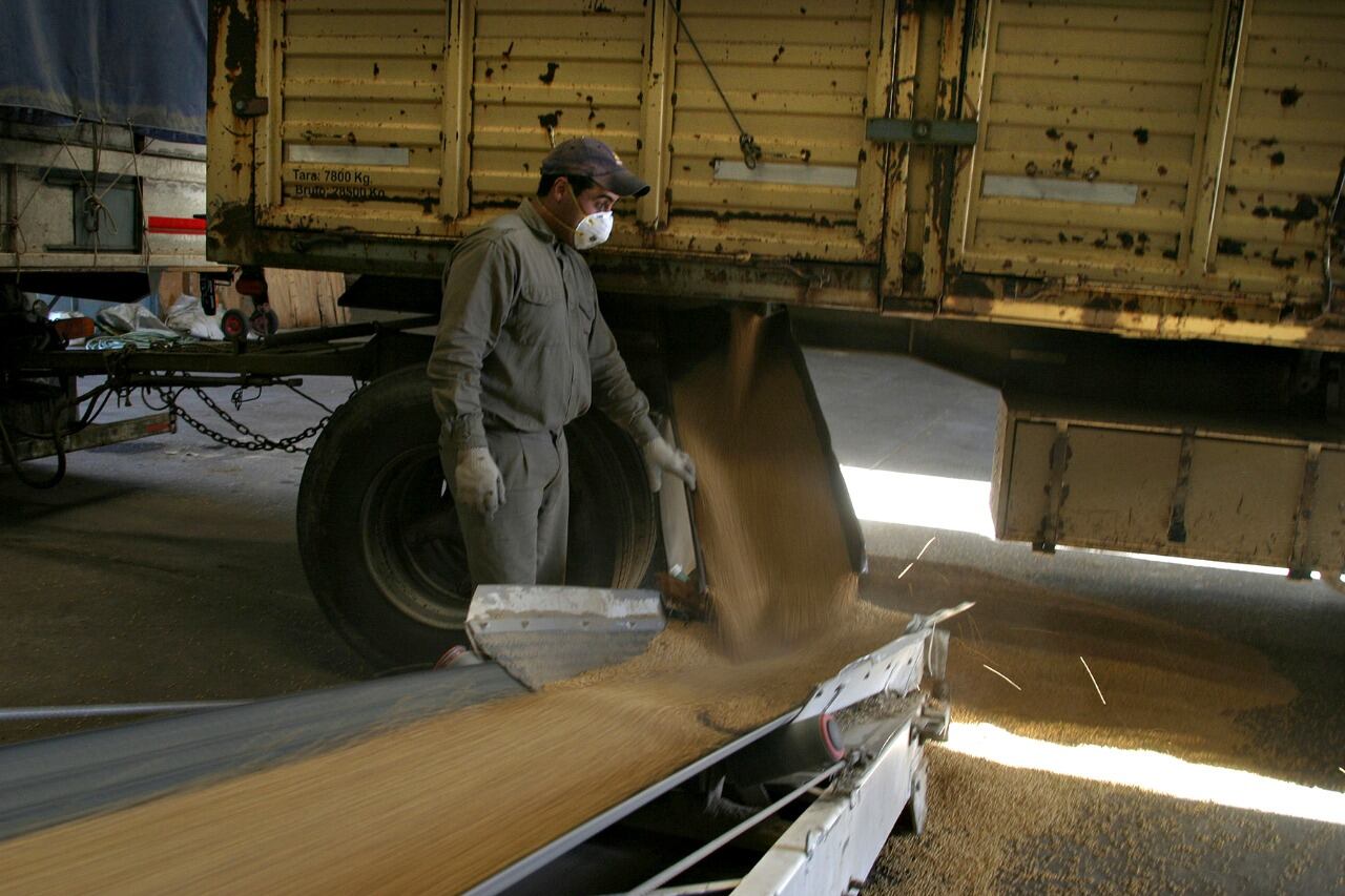 La soja cotizó precios máximos que no se registraban en los últimos ocho años.