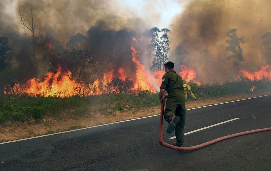 Los incendios en Corrientes consumieron un millón de hectáreas.
