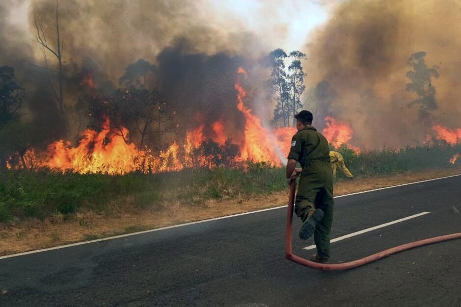Los incendios en Corrientes consumieron un millón de hectáreas.