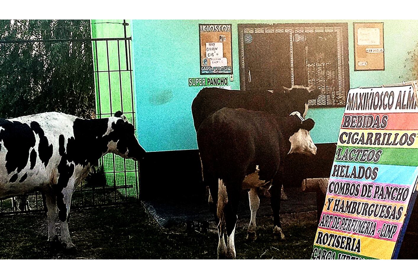 ¿Vauquitas tenés?, por the poleloverstore.