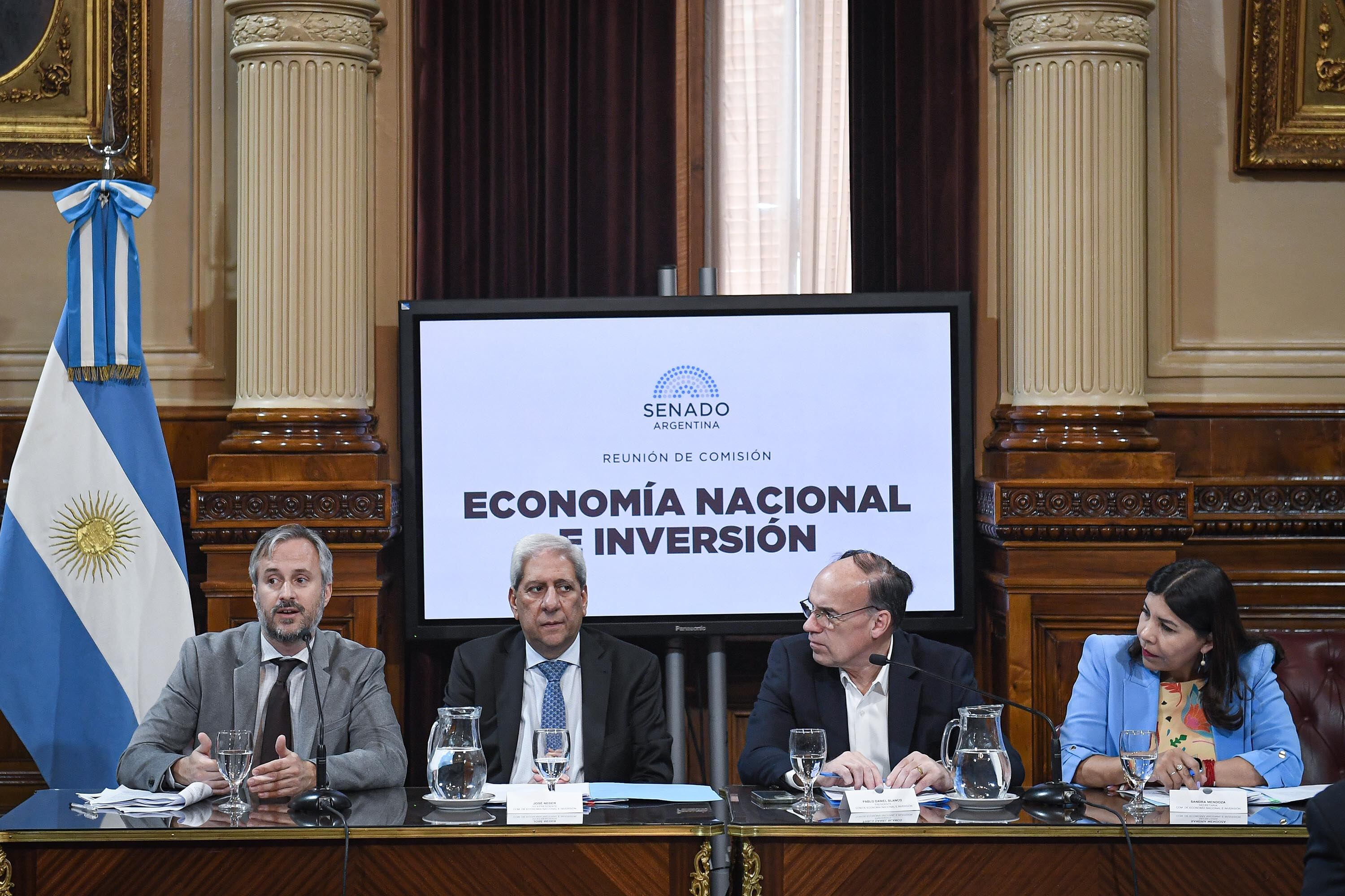 Sebastián Negri en la Comisión de Economía Social e Inversión.