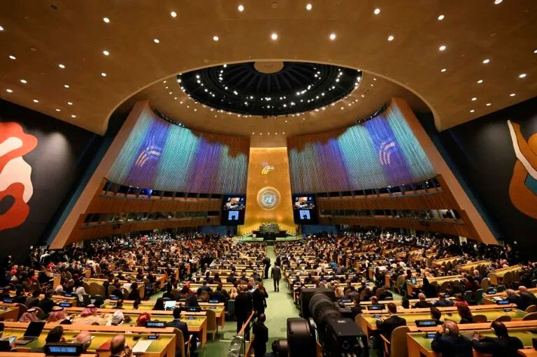 La Asamblea General de la ONU. 