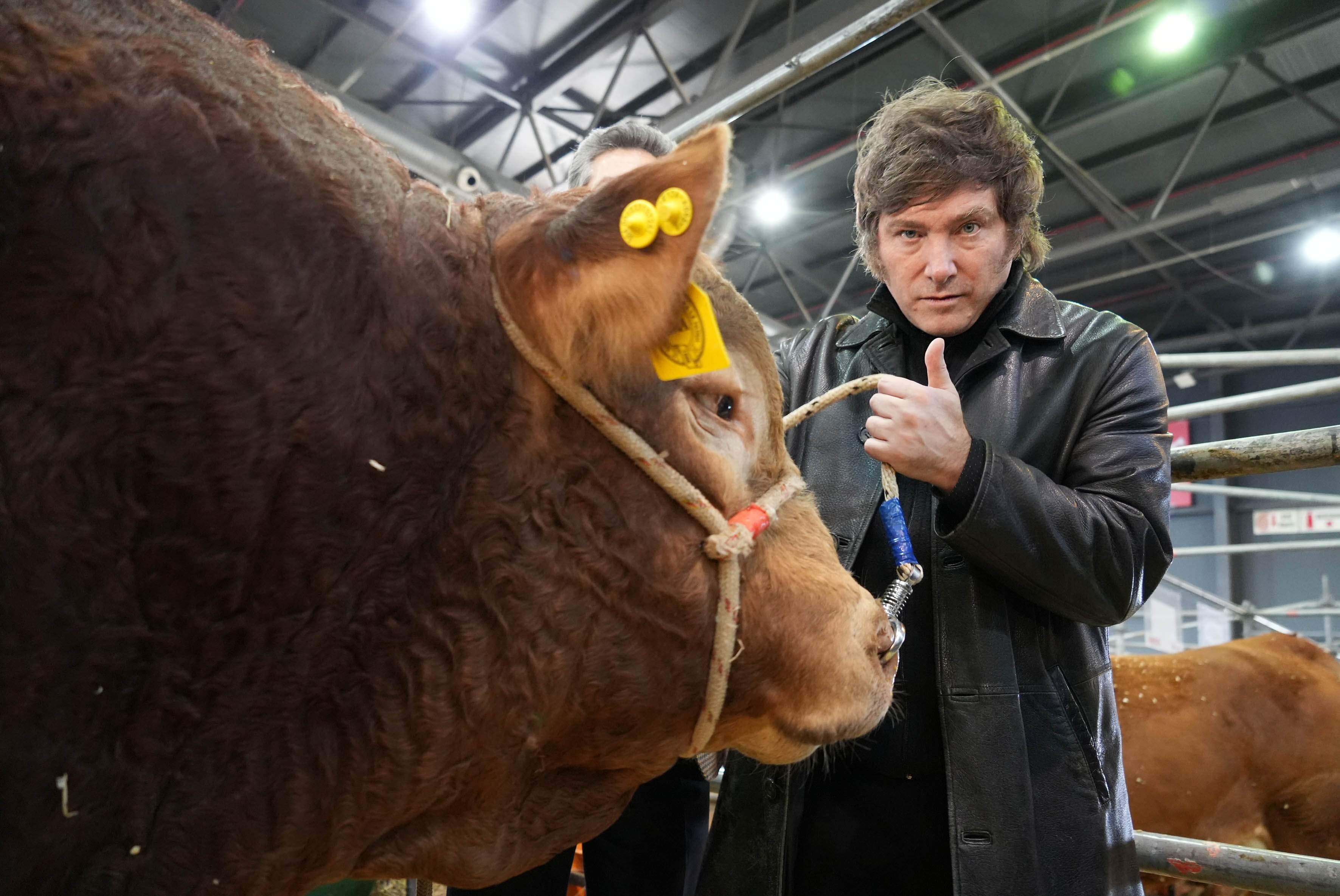 No tan atada: el resultado de las retenciones cero de Milei ofuscaron a los productores. 