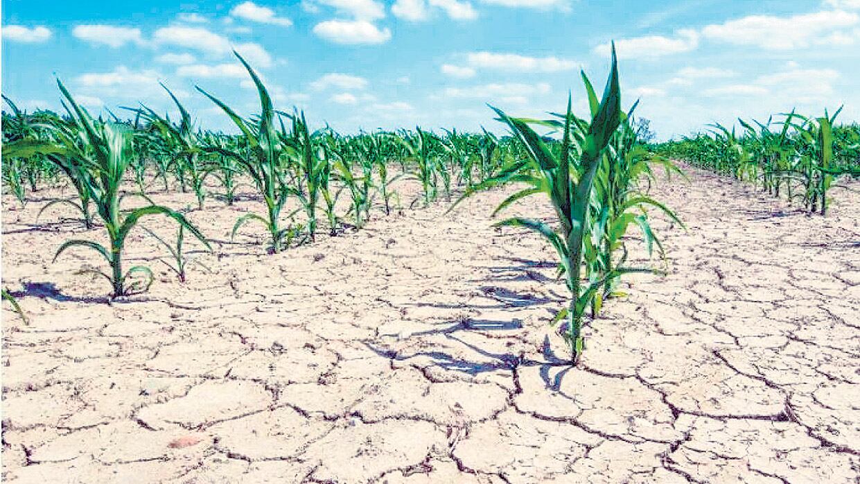 El principal impacto macroeconómico de la sequía se sentirá por el lado de la reducción en la cantidad de dólares.