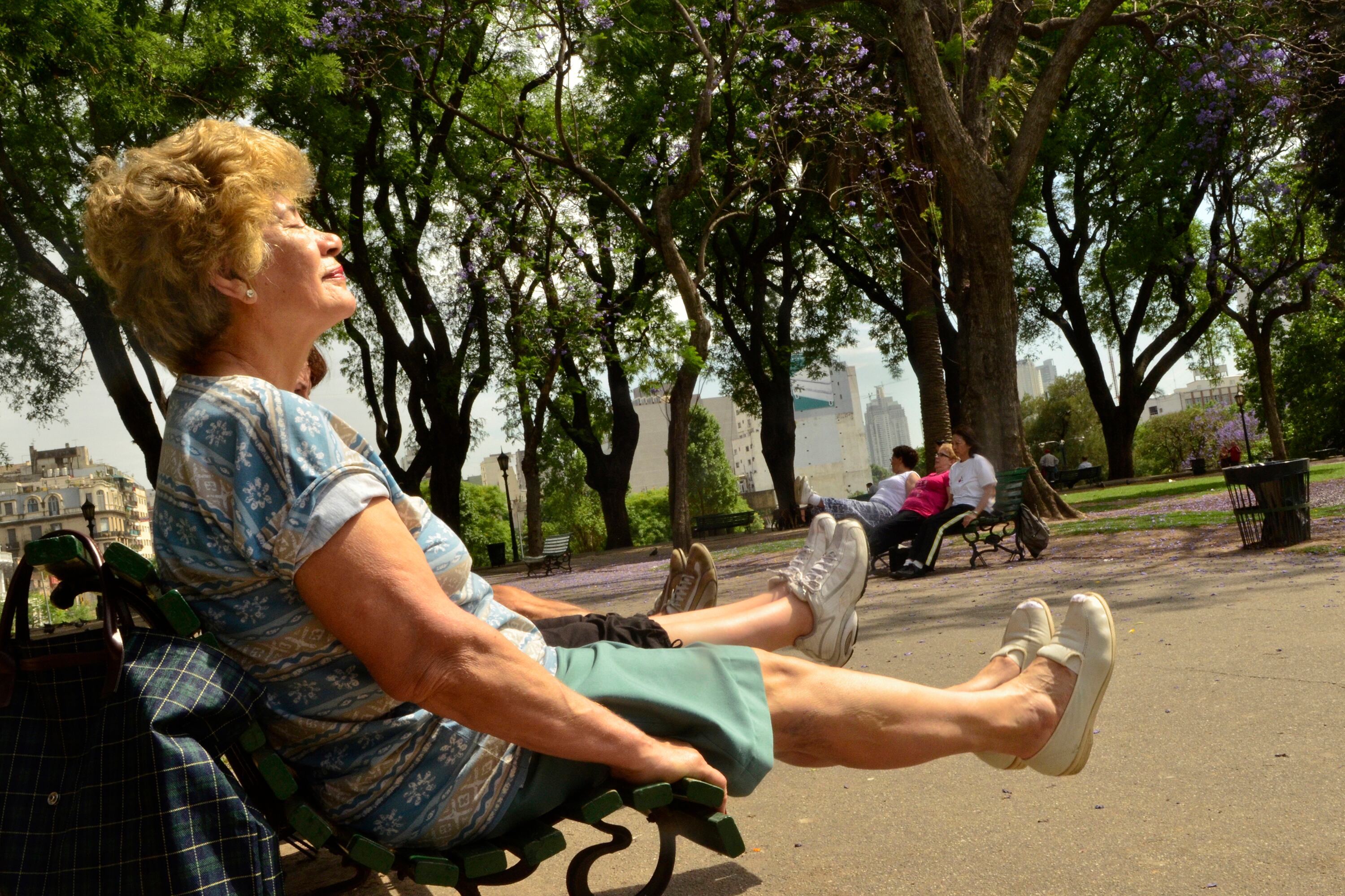 El programa beneficiaría a 800 mil adultos mayores.