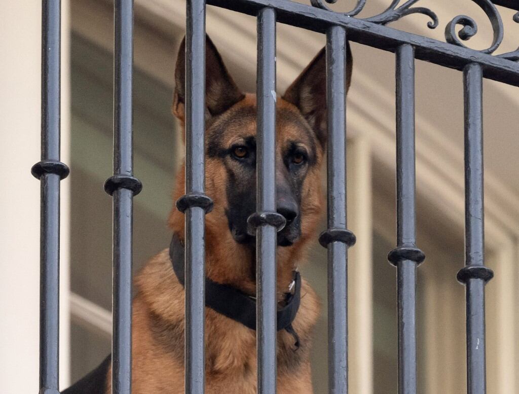 Commander habría estado involucrado en más episodios que los 11 confirmados oficialmente