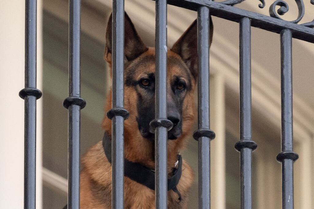 Commander habría estado involucrado en más episodios que los 11 confirmados oficialmente