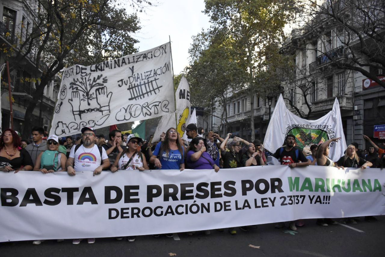Organizaciones cannábicas pidieron por la despenalización total del cultivo y uso de la marihuana.