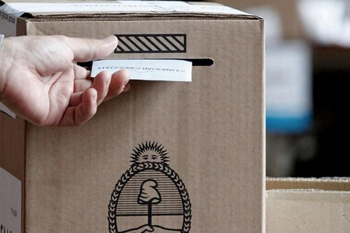 Los bonaerenses podrían ir a votar hasta cuatro veces en 2025.