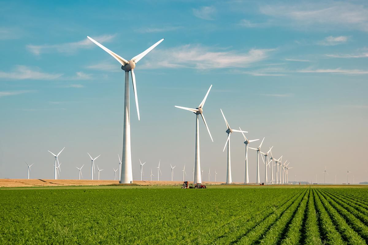  Una inversión de 250 millones de dólares.