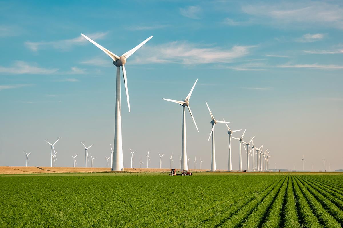 Una inversión de 250 millones de dólares.