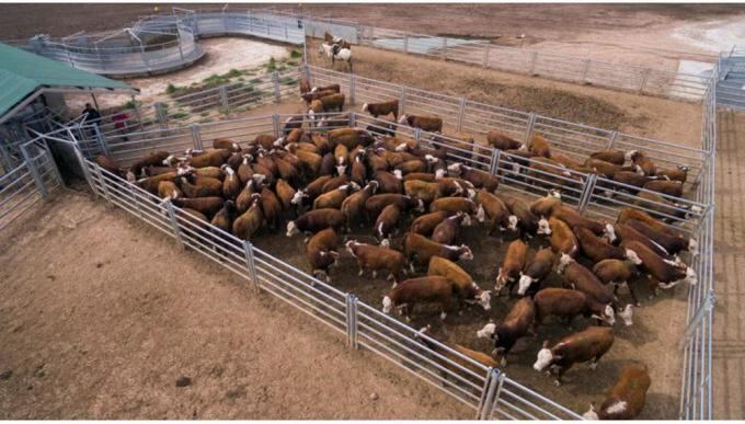 Rosario de la Frontera