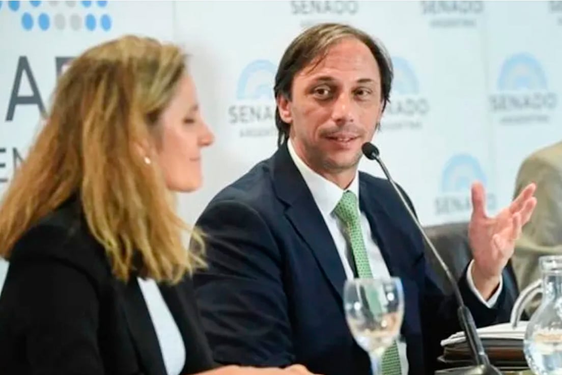 Santiago Castro Videla en una reunión de comisión en el Senado.