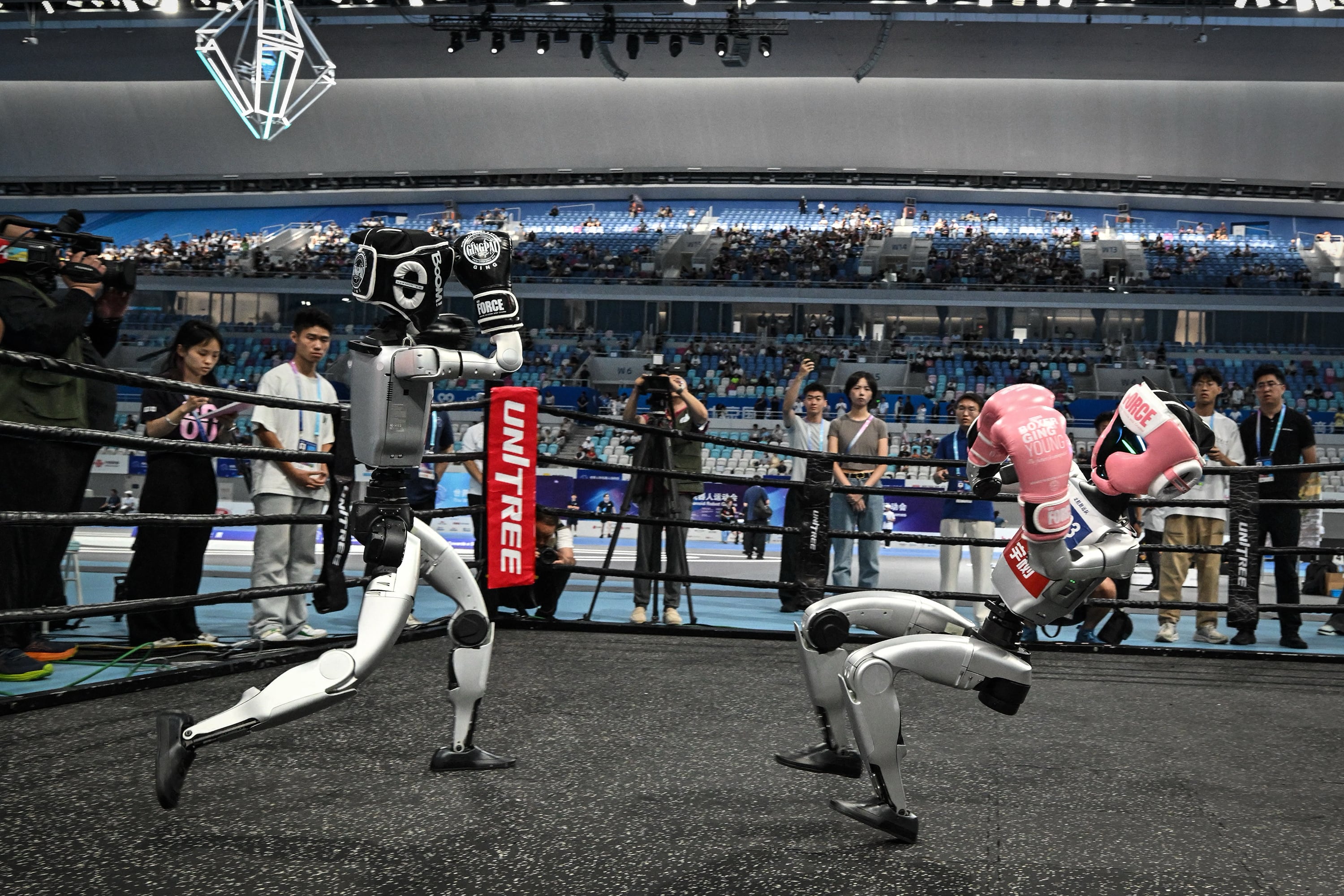 Los combates son casi un espectáculo de circo.