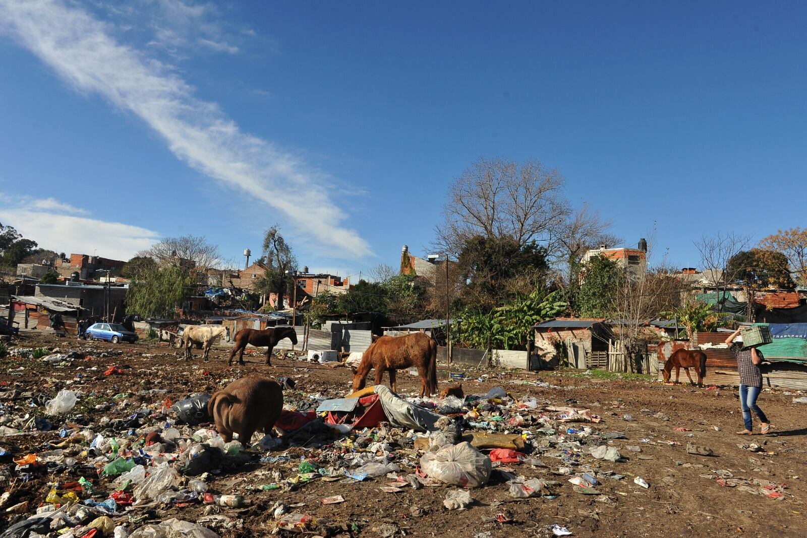 Un hogar de cuatro integrantes necesita 163 mil pesos para no ser considerado pobre.