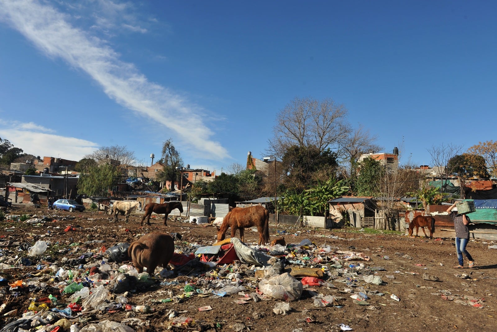 Un hogar de cuatro integrantes necesita 163 mil pesos para no ser considerado pobre.
