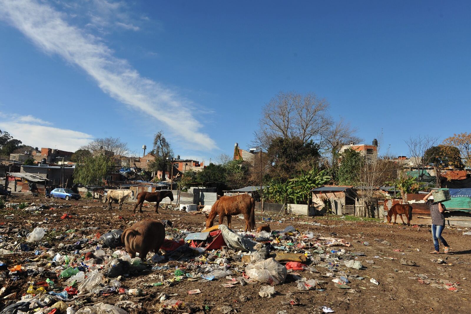 Un hogar de cuatro integrantes necesita 163 mil pesos para no ser considerado pobre.