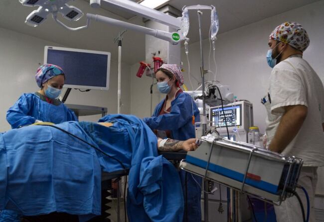 La última maratón se realizó el fin de semana pasado en cuatro hospitales bonaerneses. 