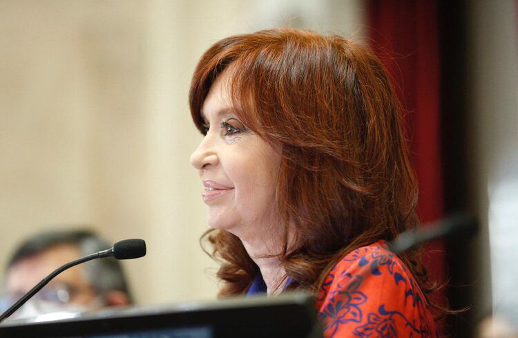 Cristina Fernández de Kirchner, durante la sesión de esta tarde en el Senado.