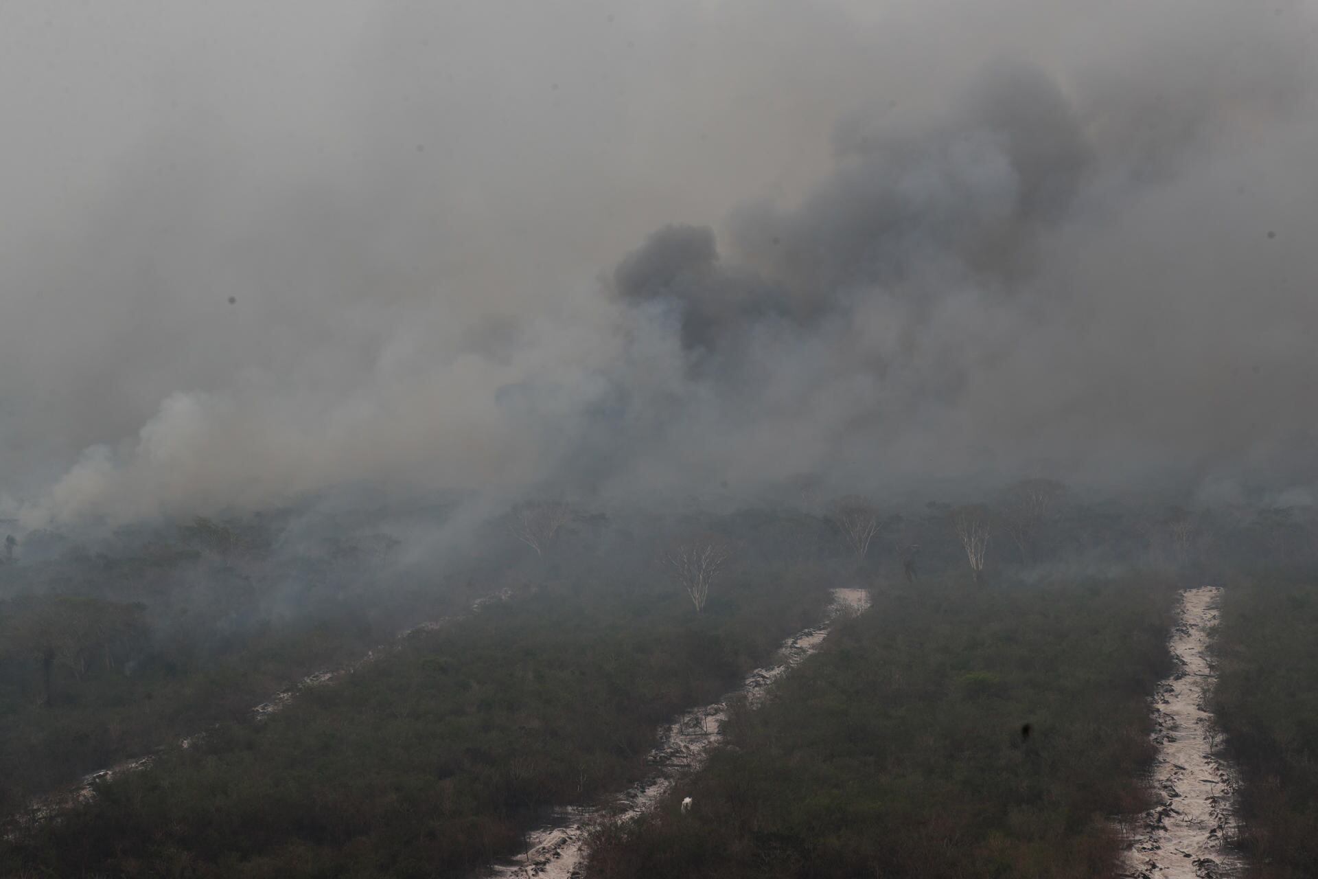 Ya son más de 184 mil las hectáreas afectadas por los incendios forestales en Paraguay