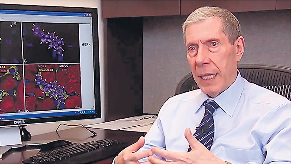 Piero Anversa falsificó los datos de sus sorprendentes investigaciones.