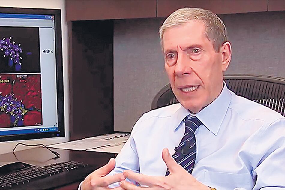 Piero Anversa falsificó los datos de sus sorprendentes investigaciones.