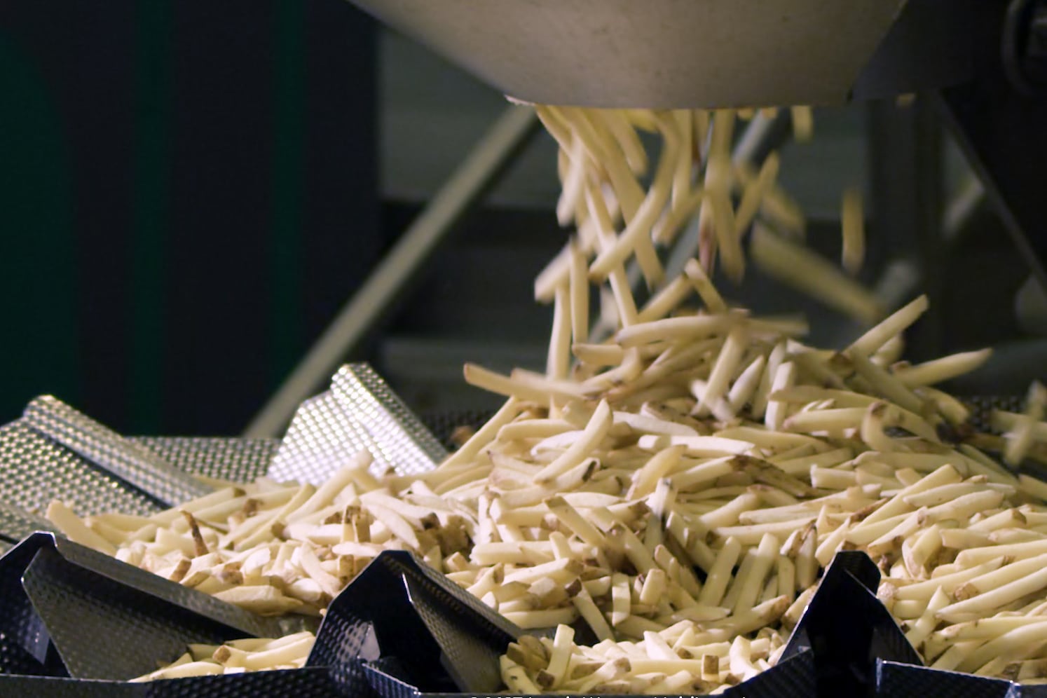 Según Lamb Weston, es la planta más moderna de la región.