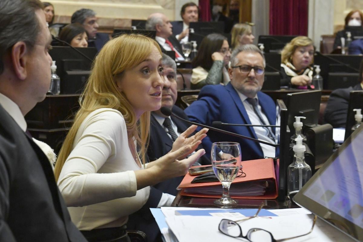 "Es bochornoso que se den estas circunstancias, que una senadora se pare a izar la bandera y otra le ocupe la banca", recriminó Anabel Fernández Sagasti.