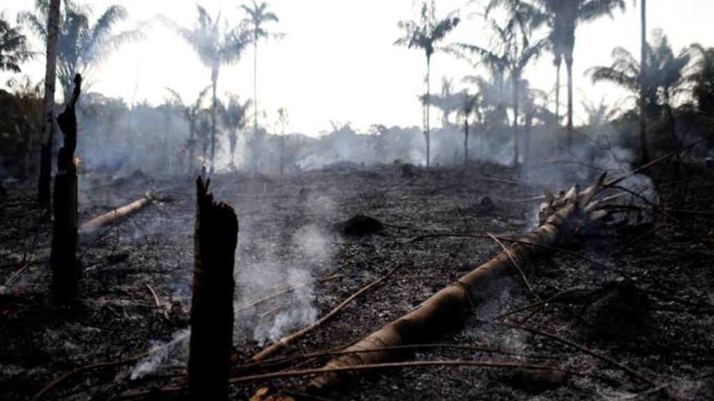 Entre el 1º de enero y el 18 de agosto se registraron 71497 focos de incendio en el país, más de la mitad en Amazonia.