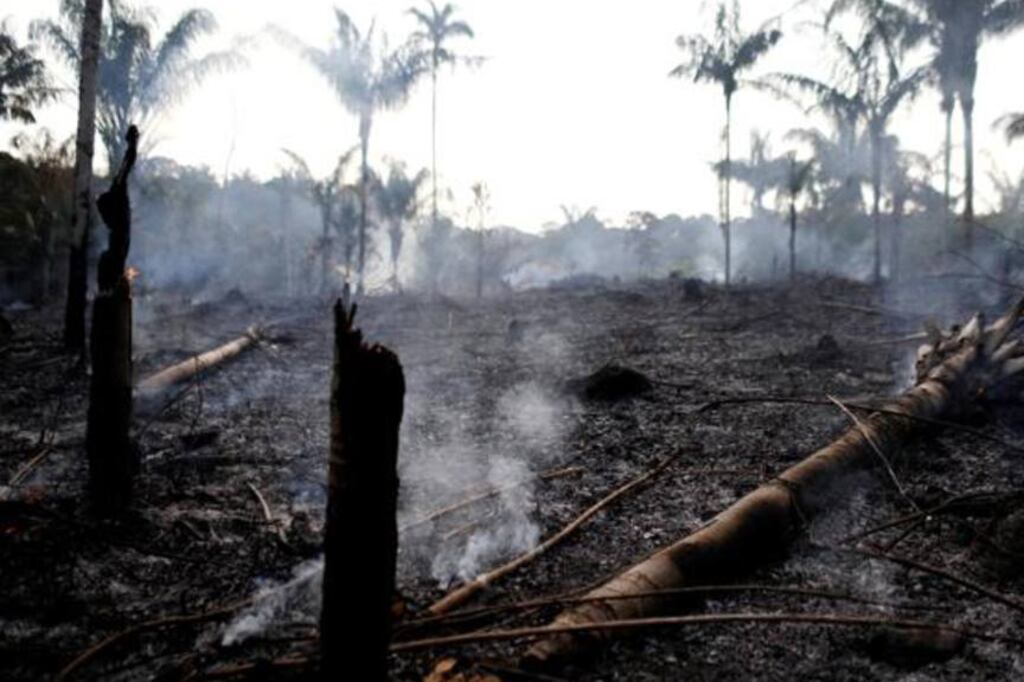 Entre el 1º de enero y el 18 de agosto se registraron 71497 focos de incendio en el país, más de la mitad en Amazonia.