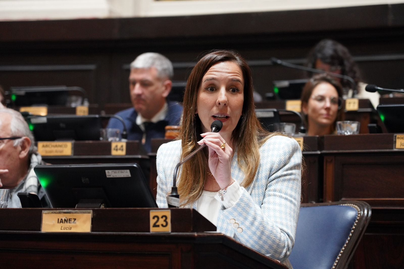 Lucía Iañez, diputada de la provincia de Buenos Aires.