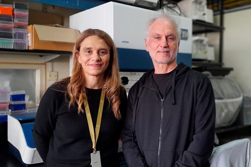 Andrea Llera y Osvaldo Podhajcer, investigadores del Conicet.