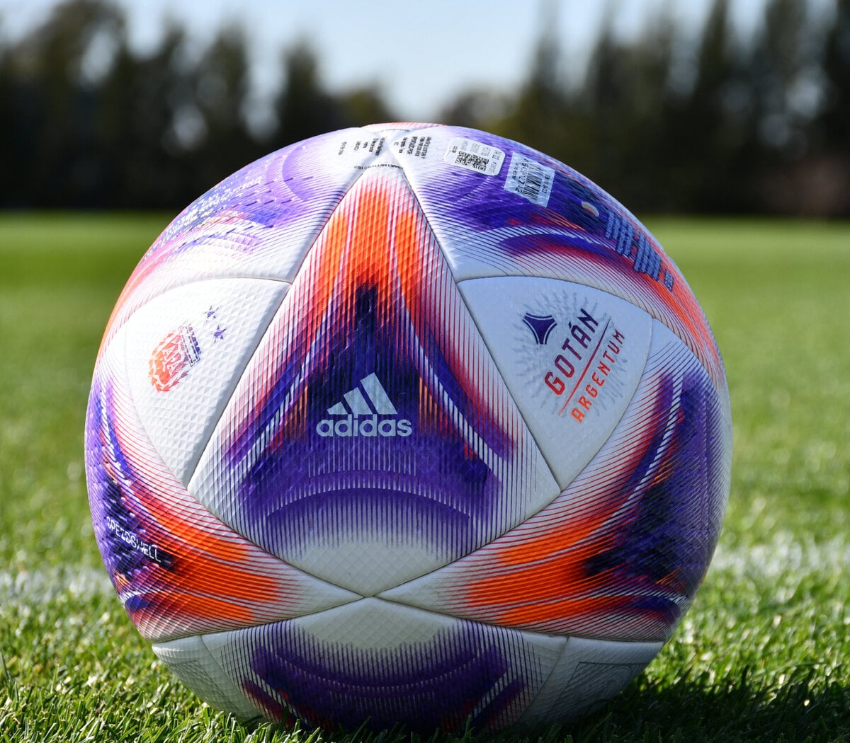 Gotán Argentum, pelota Adidas oficial del fútbol argentino.