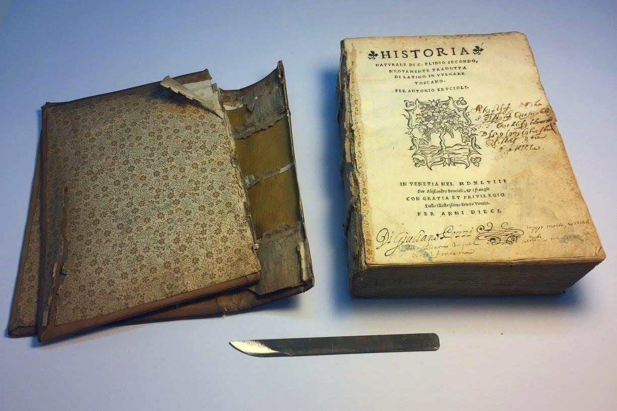 "La historia del libro es tan valiosa como su contenido", dice la encuadernadora Sol Rébora. 