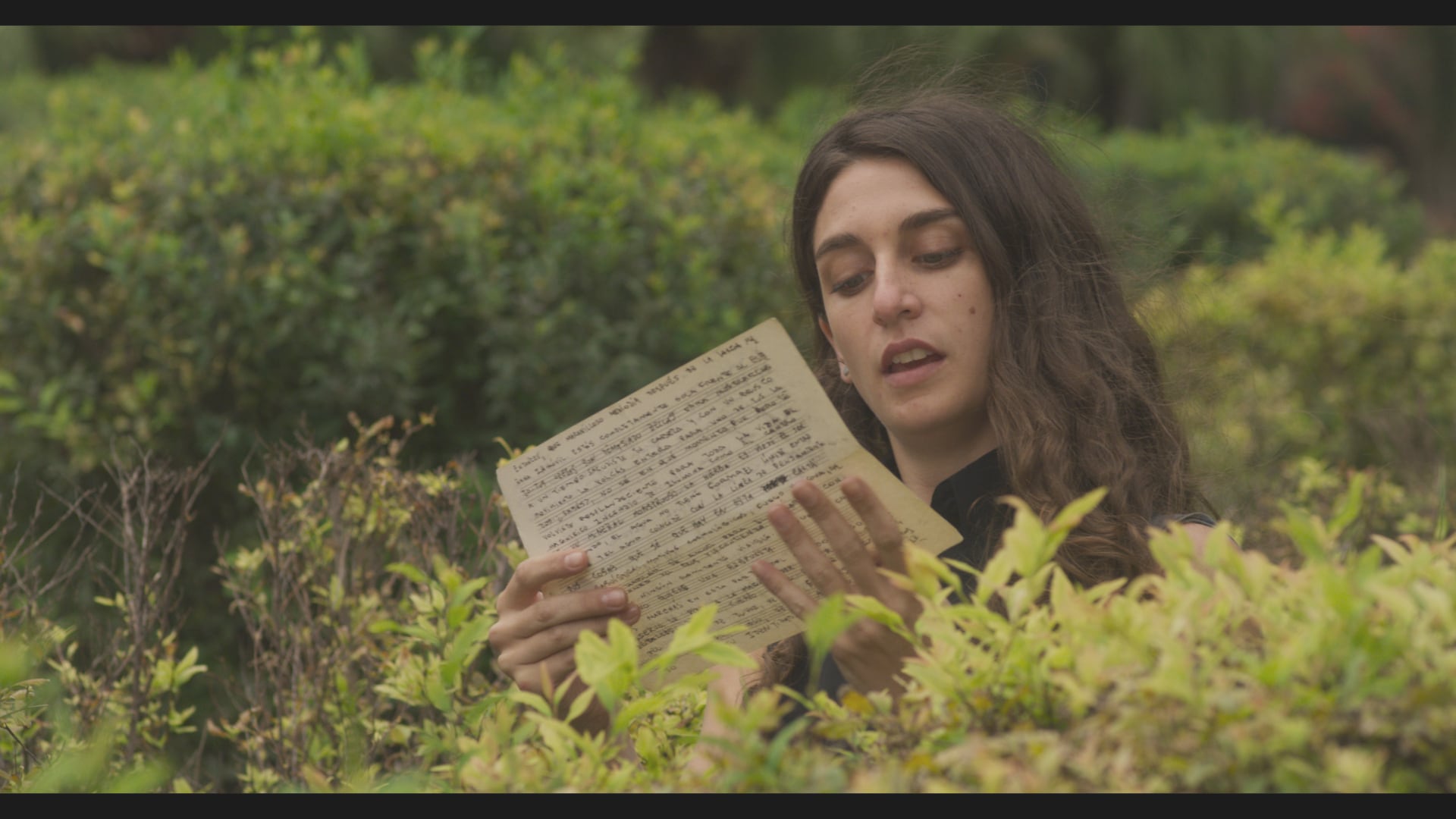 "El amor vendrá como un incendio forestal", de Laura Spiner.  