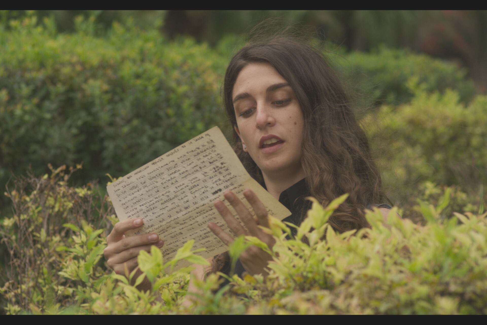 "El amor vendrá como un incendio forestal", de Laura Spiner.