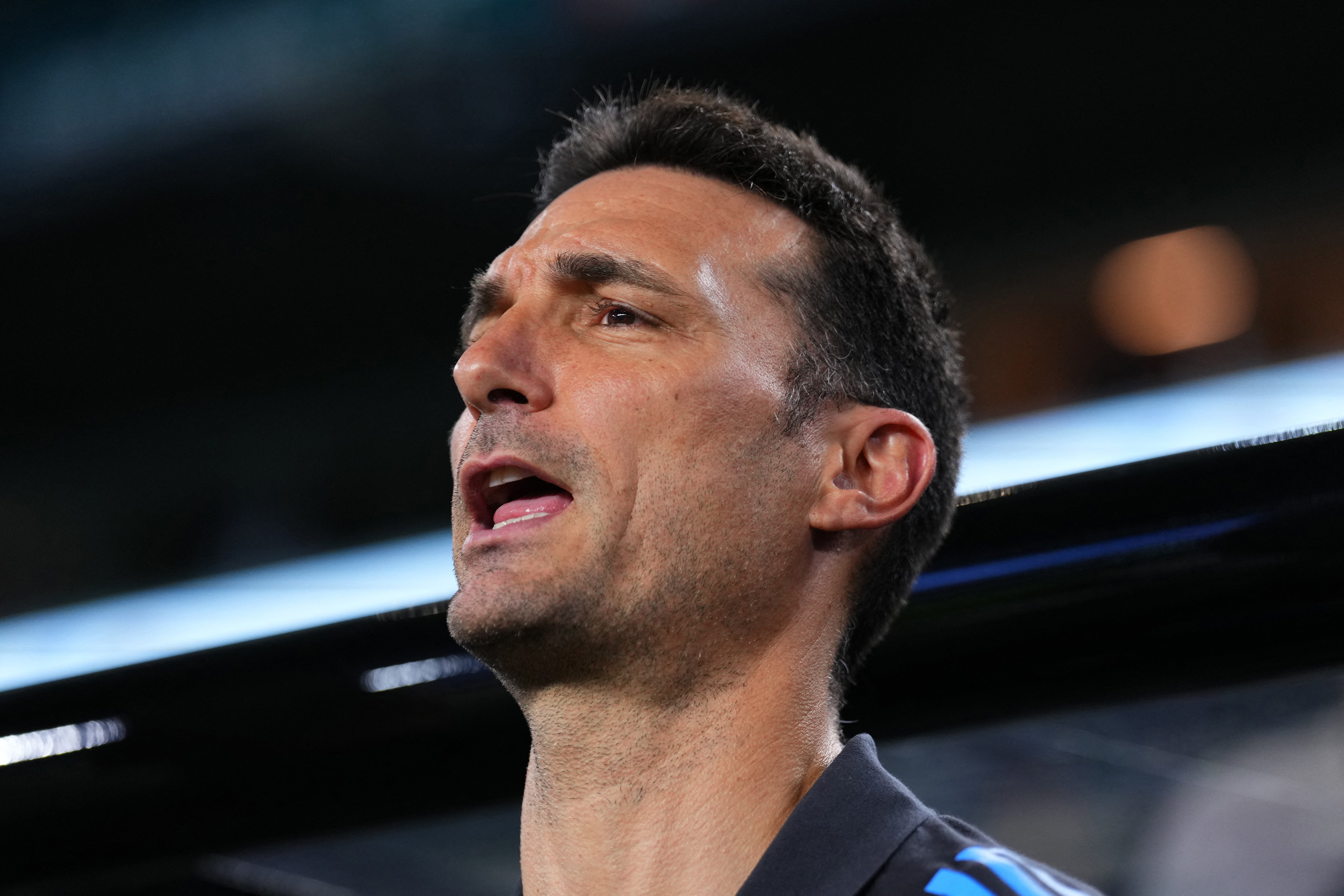 Lionel Scaloni, DT de la Selección Argentina.