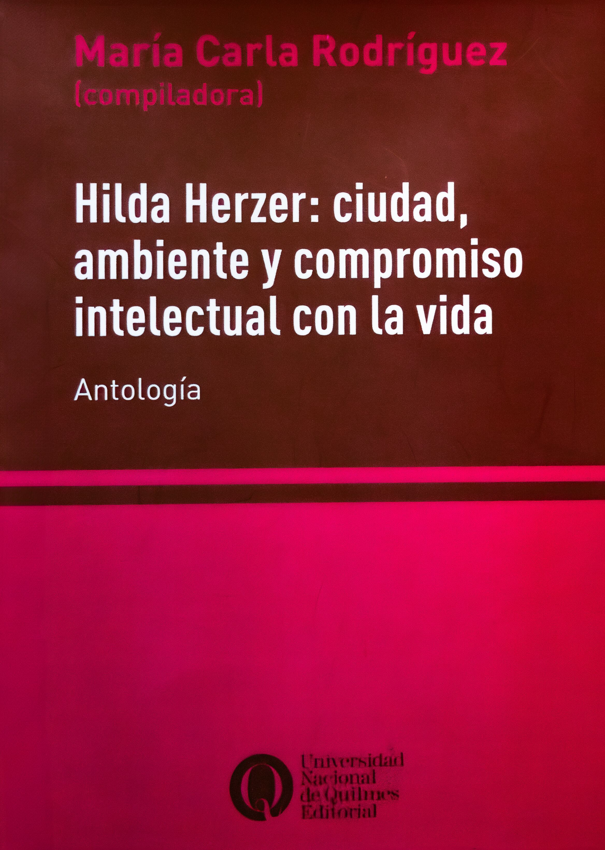 El 16 de octubre a las 18hs se presenta la antología en el Instituto de Investigaciones Gino Germani.
