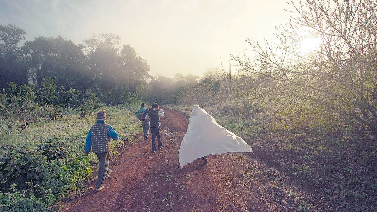 Los estados deben realizar estudios de impacto ambiental, planes de contingencia y mitigar daños ocurridos.