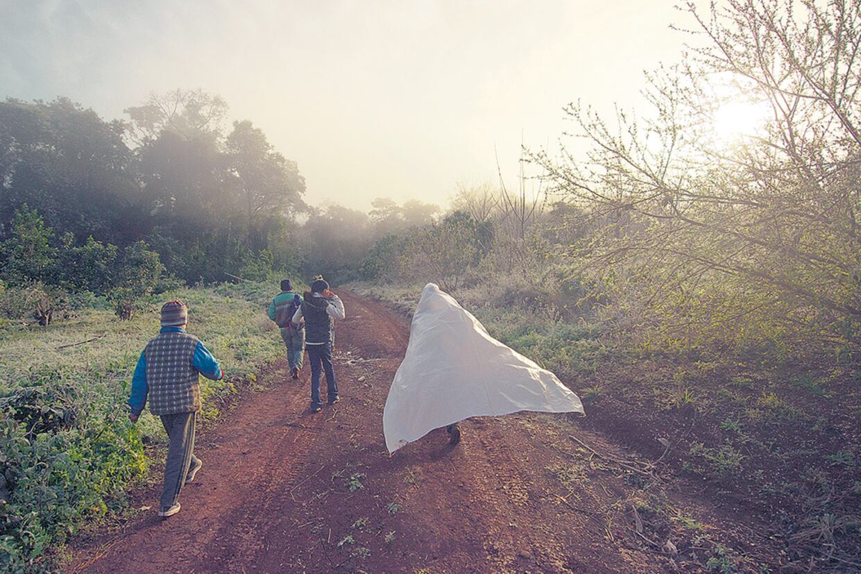 Los estados deben realizar estudios de impacto ambiental, planes de contingencia y mitigar daños ocurridos.