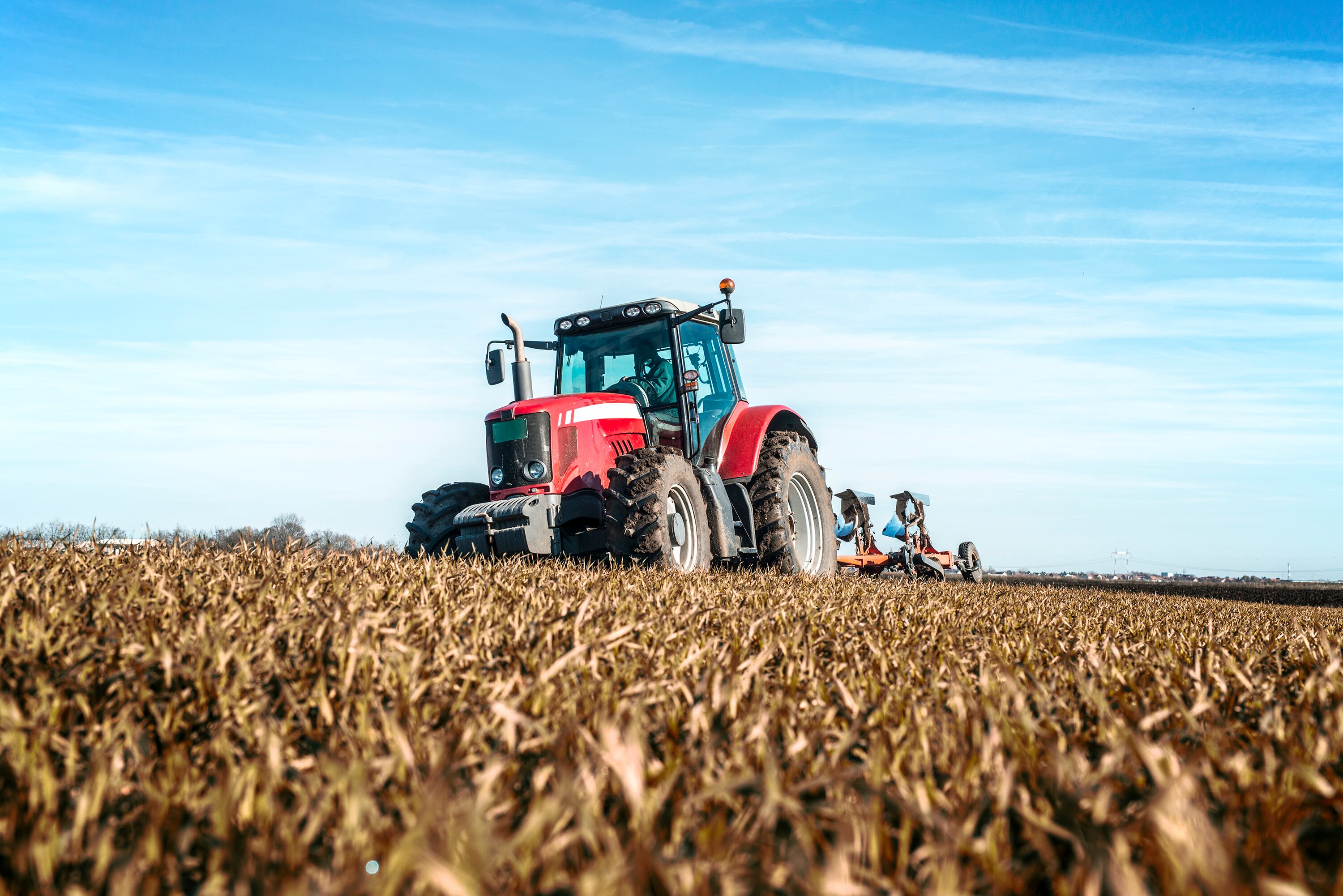 La concentración de tierras en el sector agropecuario está desplazando a pequeños productores