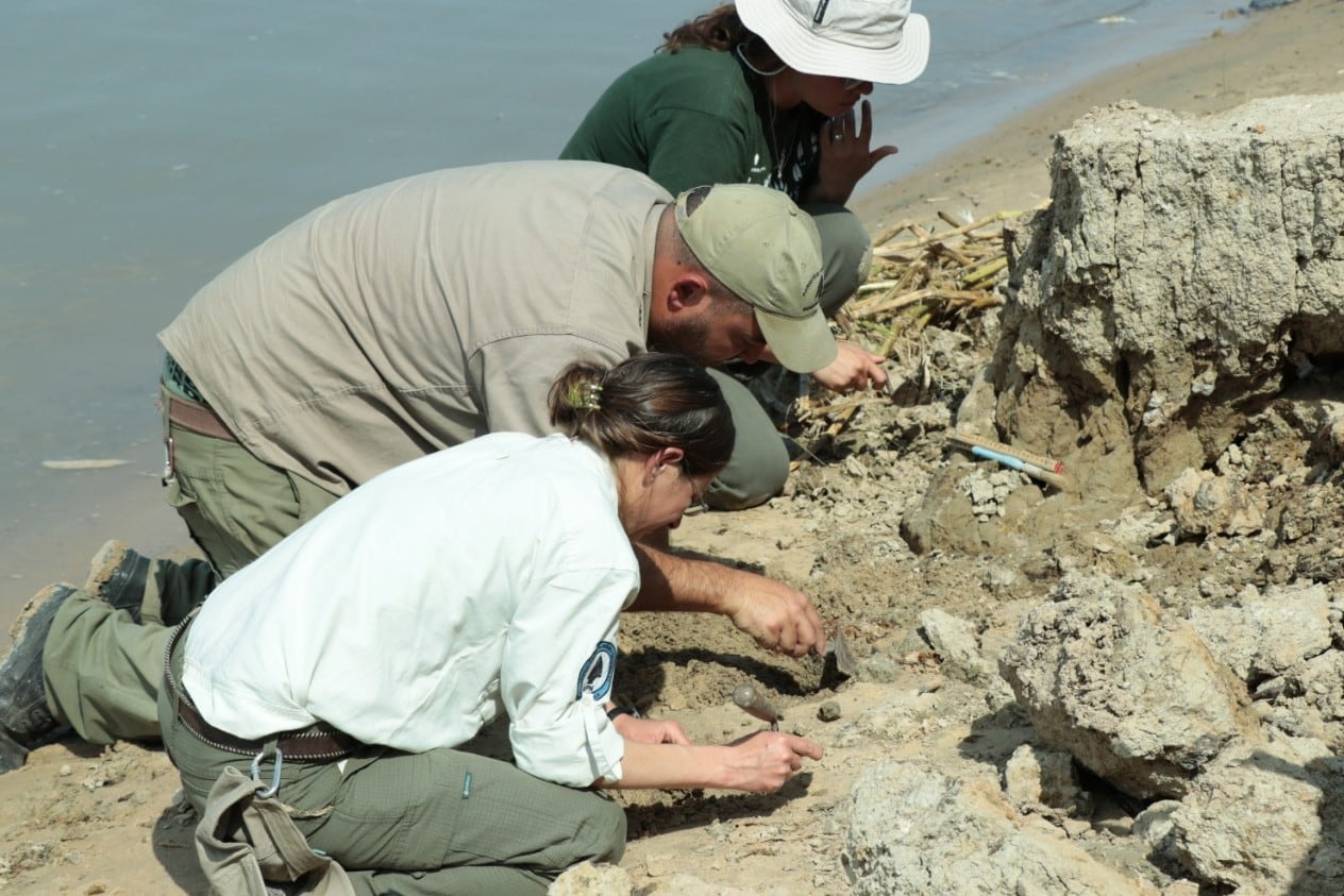 Excabación arqueológica. Imagen: Argentina.gob.ar