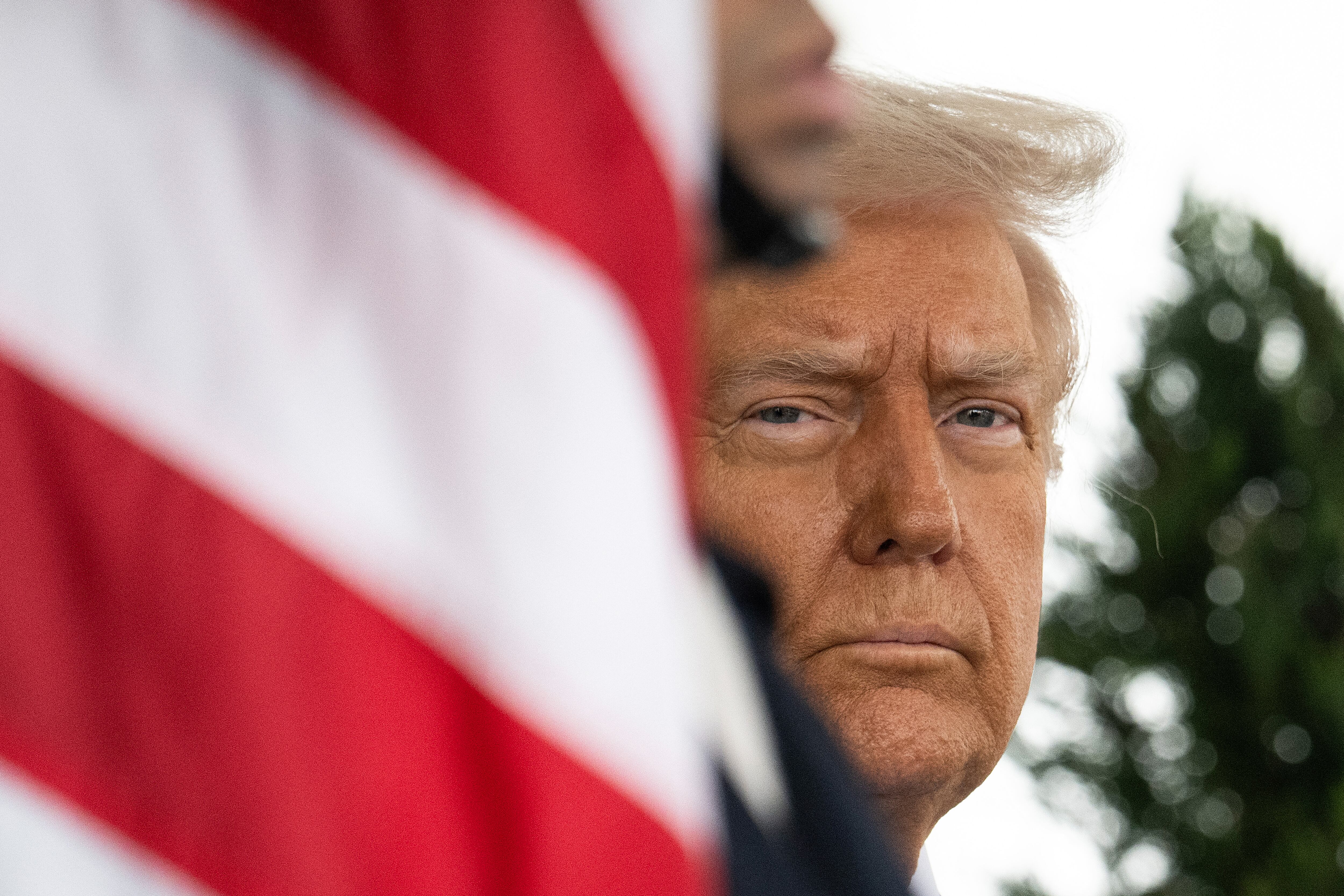 Trump dio la orden de desclasificar material sobre el crimen ocurrido en Los Ángeles. 