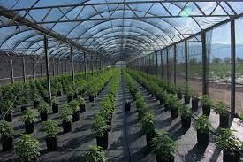 Agrogenética Riojana.