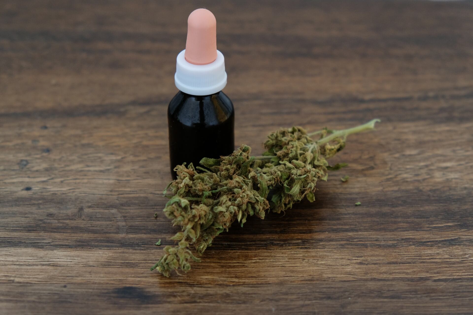 Una de las preocupaciones de médicos, activistas y usuarios es cómo garantizar el acceso a medicinas cannábicas de calidad.