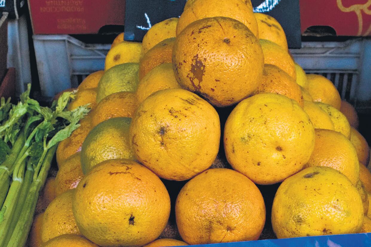 Las frutas aumentaron 3,7 por ciento el mes pasado, mientras que los lácteos treparon 2,2, entre los alimentos que más subieron.