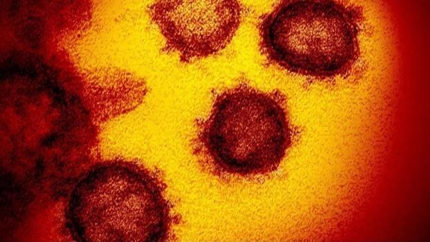 Así se ve la primera imagen tridimensional de la variante omicron del coronavirus