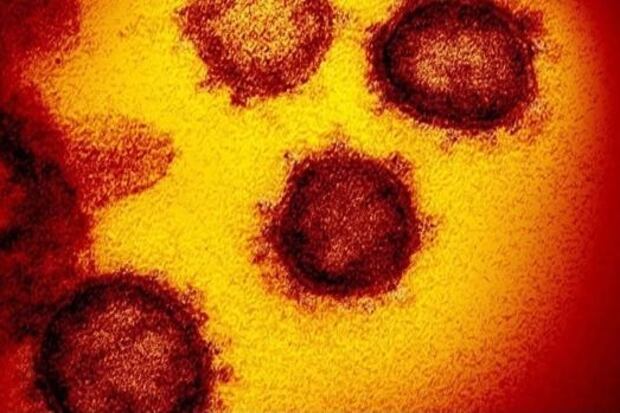 Así se ve la primera imagen tridimensional de la variante omicron del coronavirus