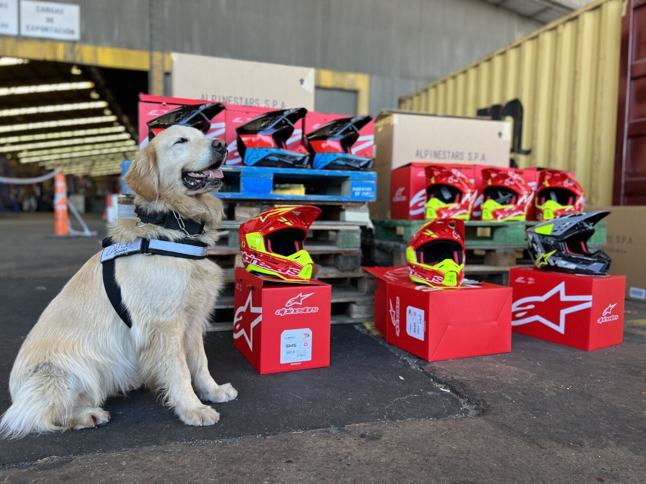 Se ordenaron allanamientos y el secuestro de 1.644 cascos.